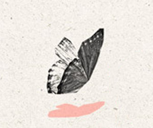 More logo